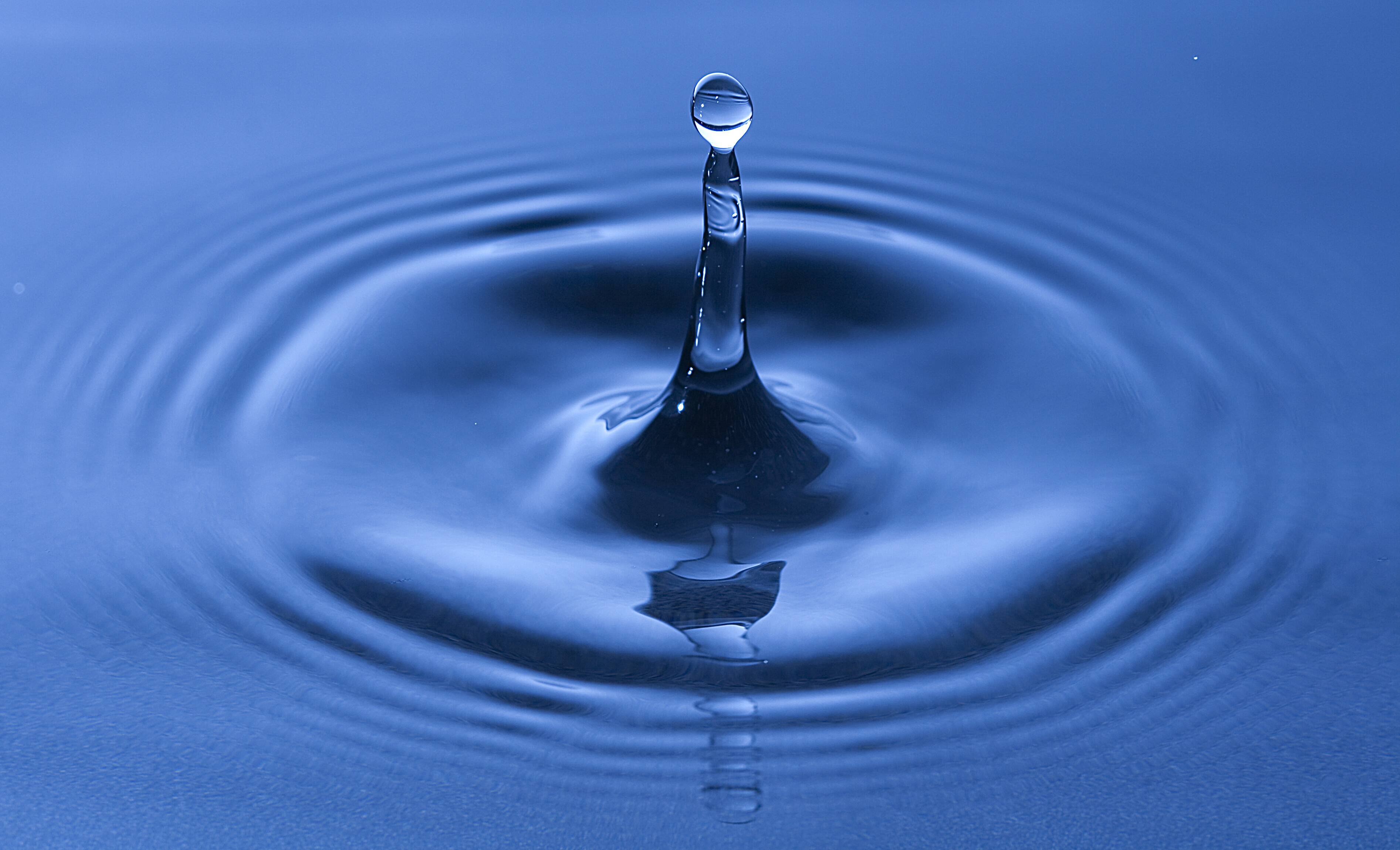 water-plant-case-study