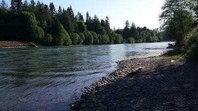 cowlitz river